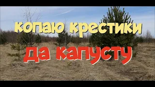 №146 КОПАЮ КРЕСТИКИ ДА КАПУСТУ. ПОИСК СТАРИНЫ С ЭКВИНОКС 800. КОП 2023.