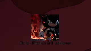 A Shadow The Hedgehog themed playlist