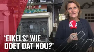 Explosie bij coffeeshop blaast alle ramen eruit