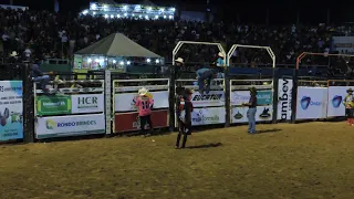 Portaljpa abertura Rodeio 2022