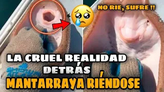 mantarraya riendo tiktok  CRUEL REALIDAD detrás del VIDEO VIRAL | RIE o SUFRE  la VERDAD