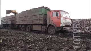 Ромодановский сахарный завод увеличит производственные мощности