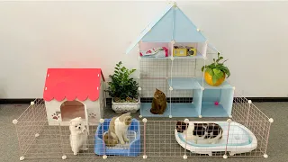 Best DIY Home Projects Absolutely Anyone Can Do For Pomeranian Dogs - How To Make Cat Home Decor Art