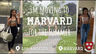 IM MOVING TO HARVARD FOR THE SUMMER | maya lauren