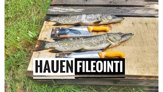 Miten fileoin kalan? - Testissä Walz & Schöderin veitsiä