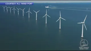 Protesters rally against offshore wind following series of whale, dolphin strandings