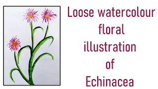 Loose watercolour floral illustration of Echinacea