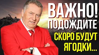 Что Будет С Арменией и Азербайджаном? Громкое Пророчество Владимира Жириновского