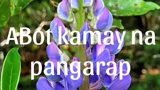 Abot Kamay Na Pangarap February 25, 2023 Full Episode 149