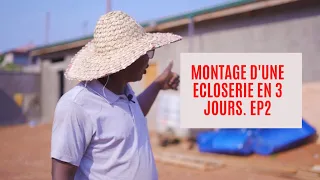 Voici ce que vous devez savoir pendant  le montage d'une ecloserie. Ep2