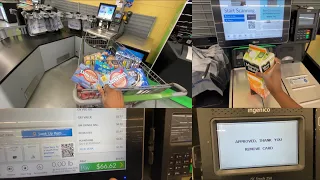 How to Use Walmart Self Checkout| Walmart Grocery Shopping| Shopping in the USA as an International