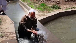 Supporting Agricultural Productivity in Afghanistan