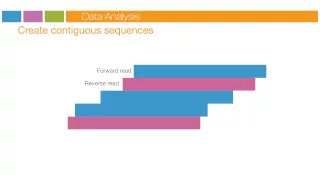 Illumina Sequencing Technology