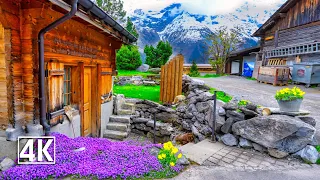 Switzerland 🇨🇭 Gimmelwald, beautiful mountain village in the Swiss Alps