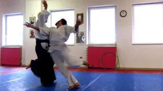 Aikido - Roberto Martucci - Pescantina (Verona) 2022