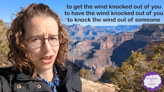Idioms - to have/get the wind knocked out of you & to knock the wind out of someone