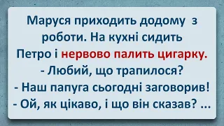 💠 Папуга Заговорив! Українські Анекдоти та Українською! Епізод #309