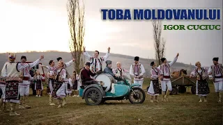 Igor Cuciuc-Toba Moldoveanului NEW 2018 | video VIOMARK