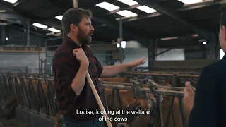 Jim Smith gets a job for a day on a dairy farm