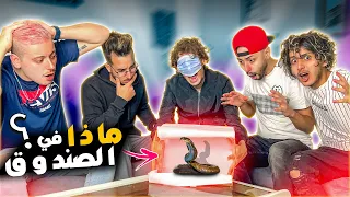 تحدي ماذا في الصندوق مع اليوتوبرز 😂🐍