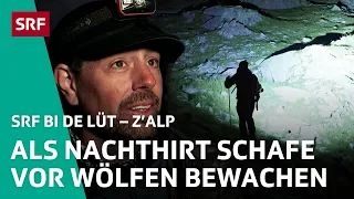 Nachtwache mit Joshua – Wer hat Angst vorm bösen Wolf? | Z'Alp – SRF bi de Lüt | 2024 – 2/4 | SRF