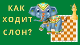 Уроки шахмат. Как ходит шахматная фигура Слон? Учимся играть в шахматы. Шахматы для самых маленьких