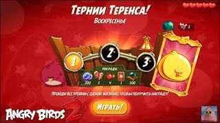 Daily Challenge/Ежедневное испытание 4-4-5 30/01/2022 Angry Birds 2.