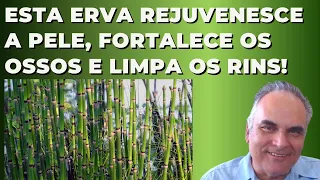 Esta Erva rejuvenesce a pele, fortalece os ossos e limpa os rins! | Dr. Marco Menelau