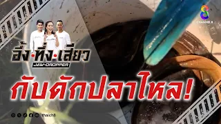 กับดักปลาไหล! | อึ้ง ทึ่ง เสียว