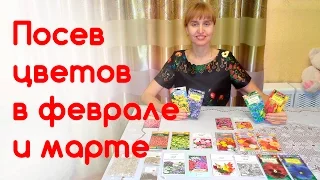 Какие цветы посеять на рассаду в феврале, марте? Сроки