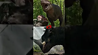 Tyrannosaurus Rex (IRL) Vs Jurassic Franchise #jurassicworld #jurassicpark #short