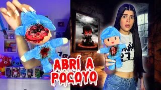 ABRÍ un MUÑECO Pocoyó de una PÁGINA WEB aterradora😱☠️ | Ani Cat😻