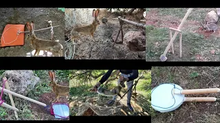 6 فخاخ ستجعلك خبير في صيد الأرانب.6 traps that will make you an expert in rabbit hunting.