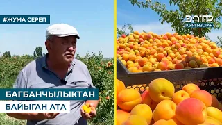 БАГБАНЧЫЛЫКТАН БАЙЫГАН АТА