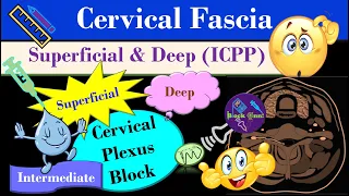 Cervical Fascia | Cervical Plexus Block | Fascia of the neck | Cervical Compartments