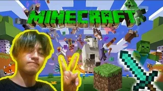 jugando Minecraft por primera vez