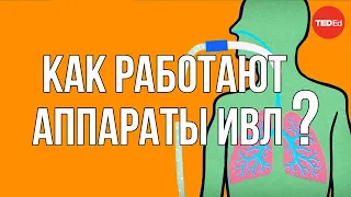 Как работают аппараты ИВЛ? / Ted Ed на русском языке