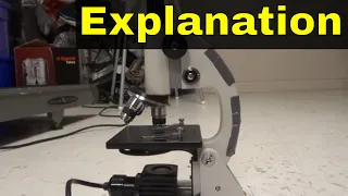 How Does A Microscope Work-Easy Explanation For Beginners