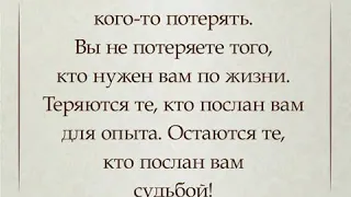 "Украденные чувства" - Аркадий Кучиерский