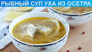 КАК ПРИГОТОВИТЬ УХУ ИЗ ОСЕТРА? Вкусный, насыщенный и наваристый рыбный суп уха из осетра с овощами