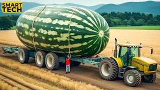 100 Most Satisfying Agriculture Machines and Ingenious Tools ▶ 99