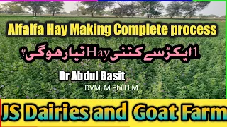 How to Make Hay | Alfalfa Lucerne Hay | Feasibility | مکمل طریقہ اور ایک ایکڑ سے خشک لوسن کتنا ہوگا؟