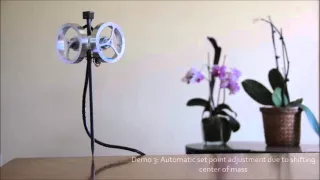 Self Balancing Stick - Dual Axis Reaction Wheel Inverted Pendulum