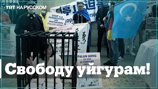 В Лондоне и Париже призвали Китай освободить уйгуров из концлагерей
