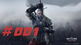 The Witcher 3: Wild Hunt Ps4 #001 Nur Hauptmissionen/Story [HD] German