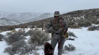 Nevada Chukar Hunt   8 Jan 2024