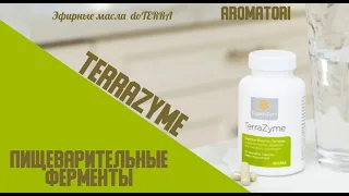 Пищевые ферменты Terrazyme