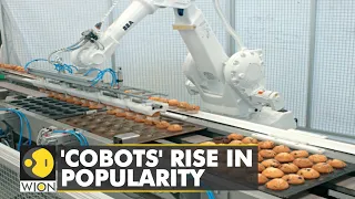 WION Fineprint | Collaborative robots set to transform food industry | World News