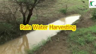 Rain Water Harvesting-Farm Innovator Subhash Sharma 17