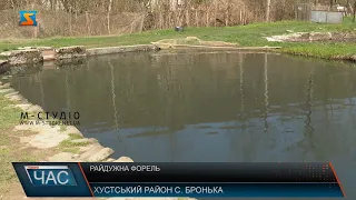 Делікатесна цінна риба. Форелеве господарство